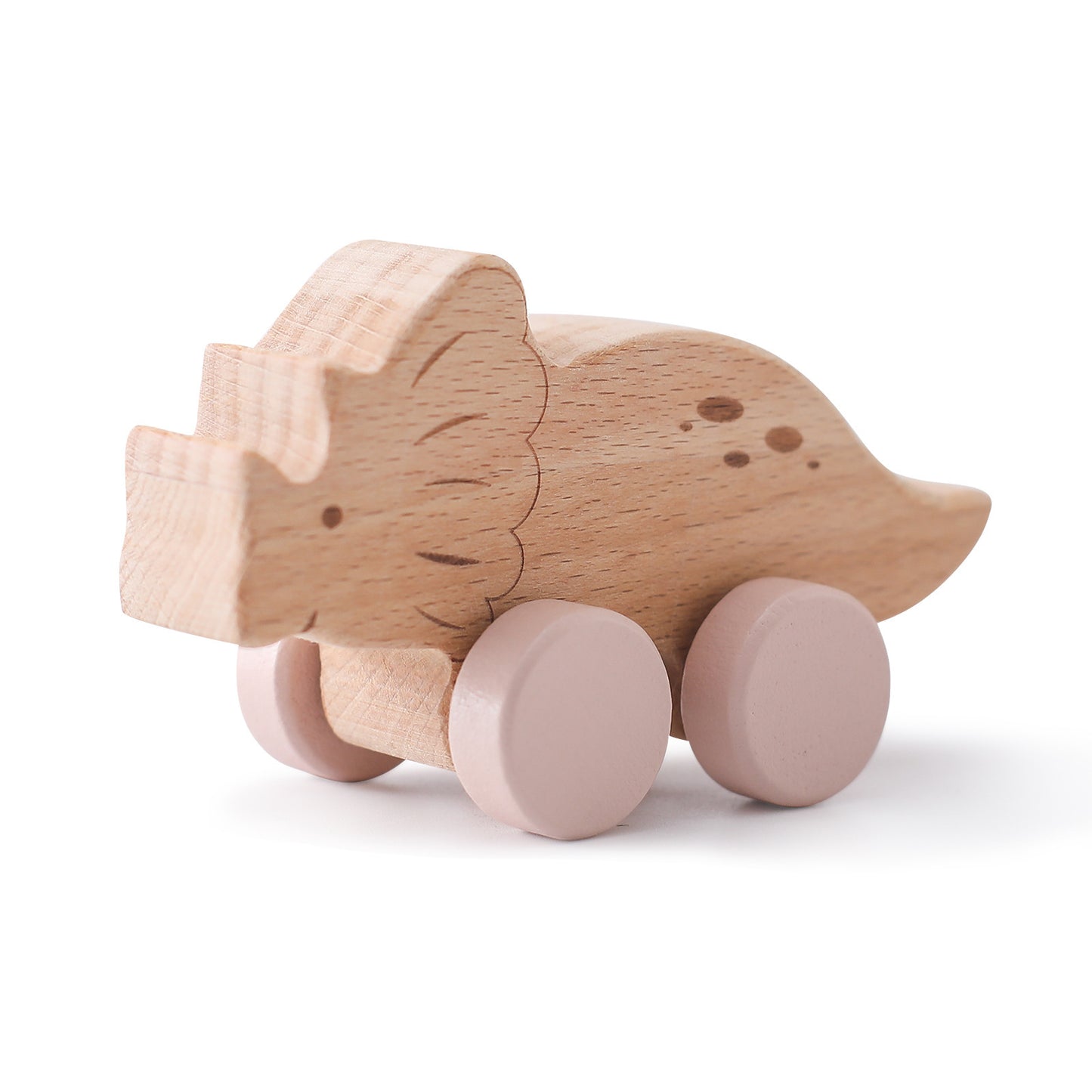 Montessori Wooden Dinosaur Toys